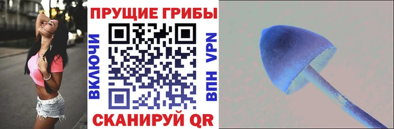 Псилоцибиновые грибы Cubensis  Няндома 